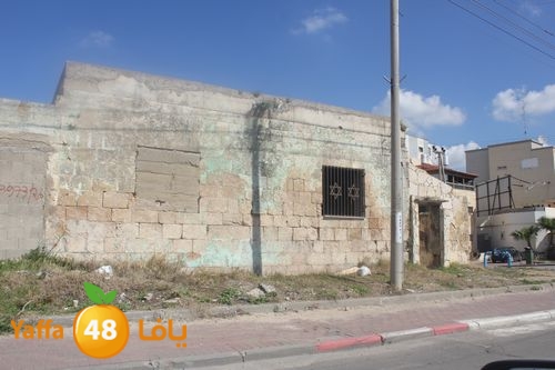 kaniswa7akhadra2 (8).JPG